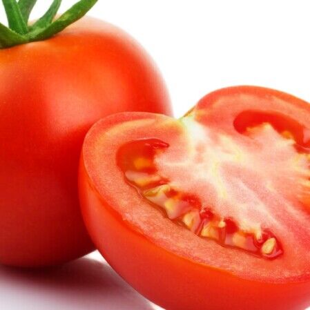frisch Tomaten